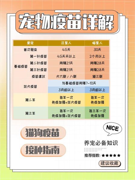 狗狗打疫苗需要打几针?详解初次疫苗接种流程