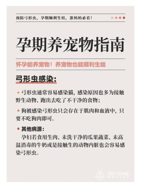 弓形虫疫苗:预防与接种指南