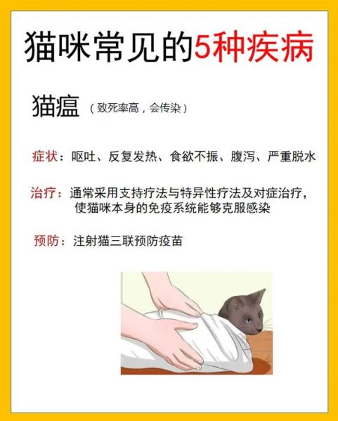 为何没打疫苗的猫咪更容易生病?了解这些风险