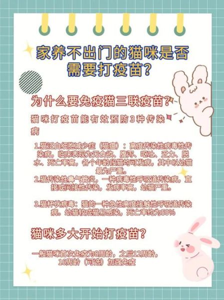 为何没打疫苗的猫咪更容易生病?了解这些风险