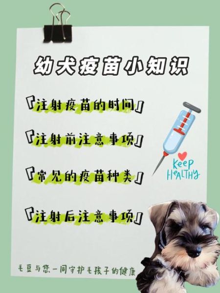 狗狗打疫苗最佳地点推荐:宠物医院还是畜牧站?