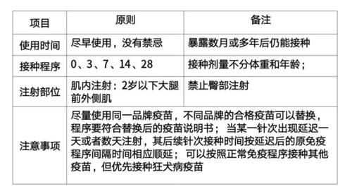 拉布拉多疫苗重要性解析:狂犬疫苗和三联疫苗的必要性