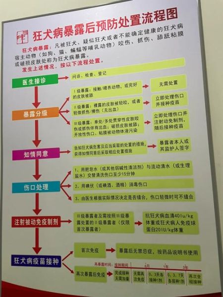 狂犬疫苗打一次有效吗?接种全程揭秘