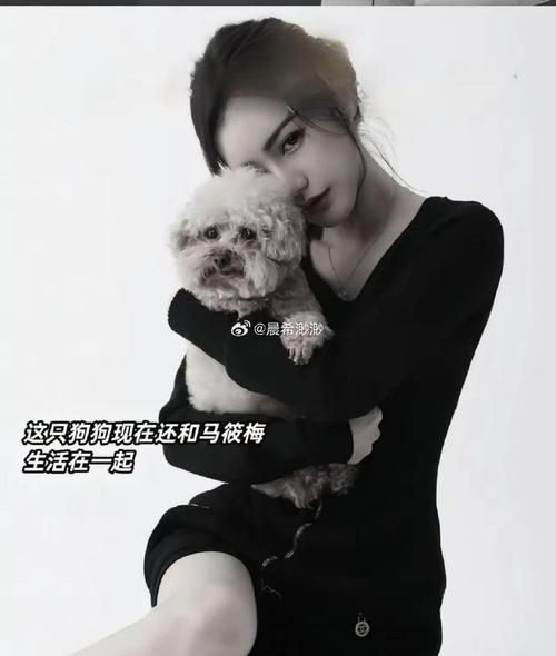 震惊!原来幼犬柯基是灰色毛,几个月后大变样!