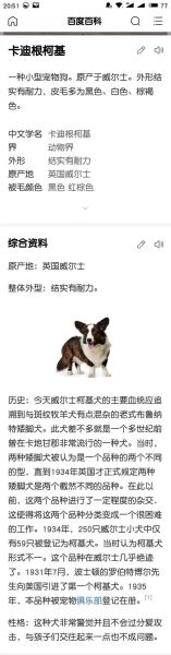 黑白色卡迪根柯基是什么?和普通柯基有啥区别?