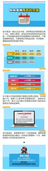 想给柯基打疫苗?这份价格清单您收好!