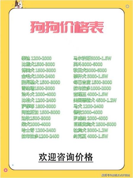 想给柯基打疫苗?这份价格清单您收好!