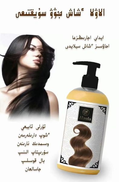 كل شيء عن إطعام التمر للكلاب: هل هو آمن؟ وما هي الكمية المناسبة؟