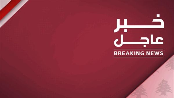 بوميرانيا قط: معلومات كاملة عن هذا الصنف الجميل والرائع