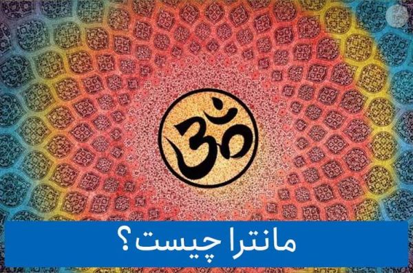ماذا يحدث إذا أكلت قطتي الجيلي؟ إليك ما تحتاج إلى معرفته