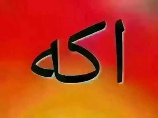 هل يمكنني إعطاء قطتي حساء مونج الفول؟ دليل شامل لأصحاب القطط!