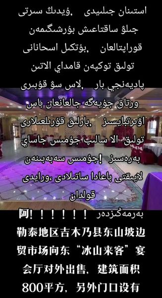ماذا يحدث إذا شربت قطتي حساء مونج الفول؟ إليك ما تحتاج إلى معرفته