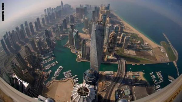 هل تبحث عن استشارة مجانية لطبيب بيطري؟ احصل عليها الآن