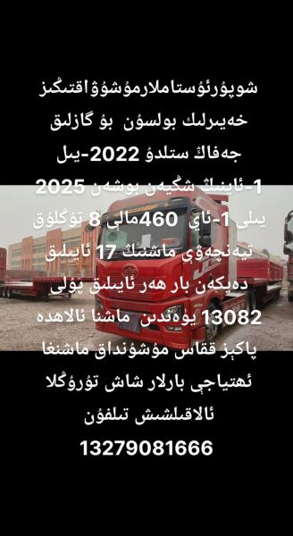 هل الشمام مفيد للكلاب؟ تعرف على الفوائد والمخاطر