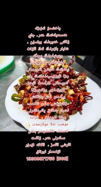 هل الشمام مفيد للكلاب؟ تعرف على الفوائد والمخاطر