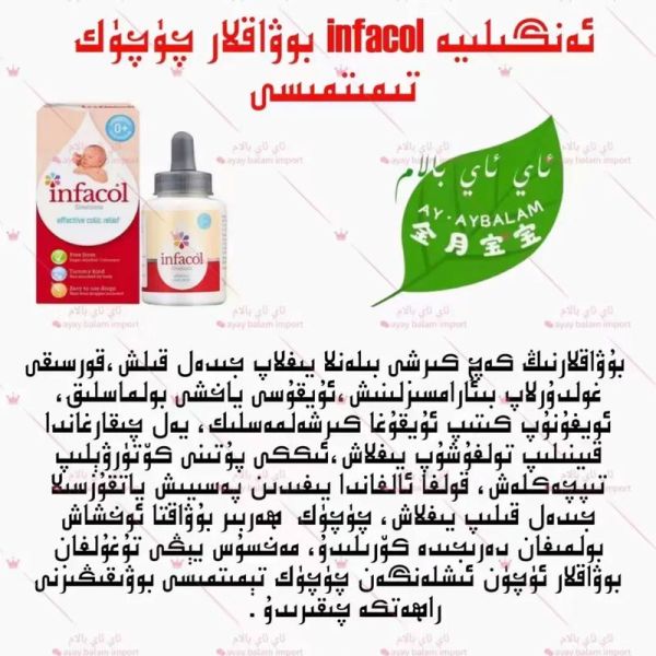 هل كلاب الدوبرمان شرسة؟ حقائق ومعلومات عن سلوك الدوبرمان