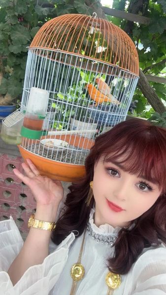 تبني كلب الملك تشارلز: نصائح مهمة قبل أن ترحب به في منزلك
