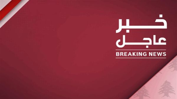 صور كلاب بلدية مضحكة: أفضل صور بروفايل لعام 2024