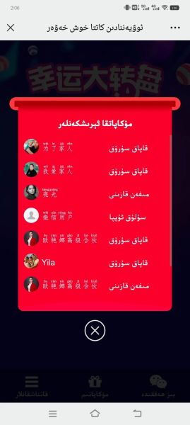 الخوخ للقطط: هل هو آمن أم ضار بصحة قطتك؟