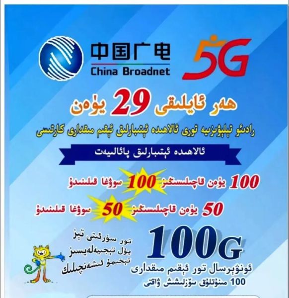 مميزات وعيوب تربية كلب جولدن ريتريفر: هل هو الكلب المناسب لعائلتك؟