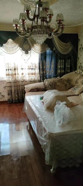 مميزات وعيوب تربية كلب جولدن ريتريفر: هل هو الكلب المناسب لعائلتك؟
