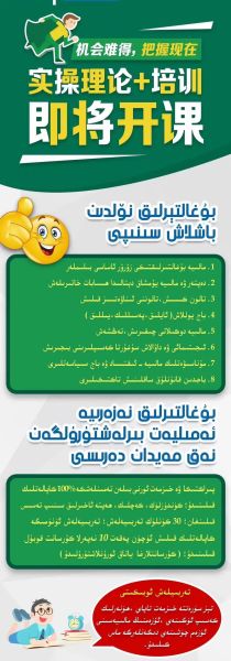فوائد ومخاطر الخوخ للكلاب؟ اكتشف الحقائق كاملة