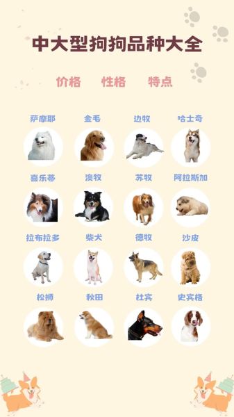 哪些大型犬适合家养?这十大品种性格超好!