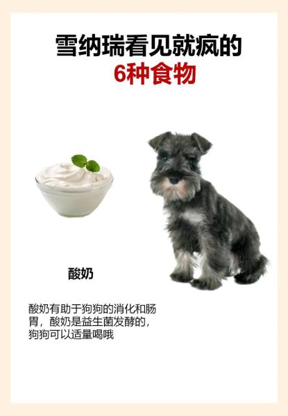 雪纳瑞吃什么狗粮好?不同年龄段的推荐!