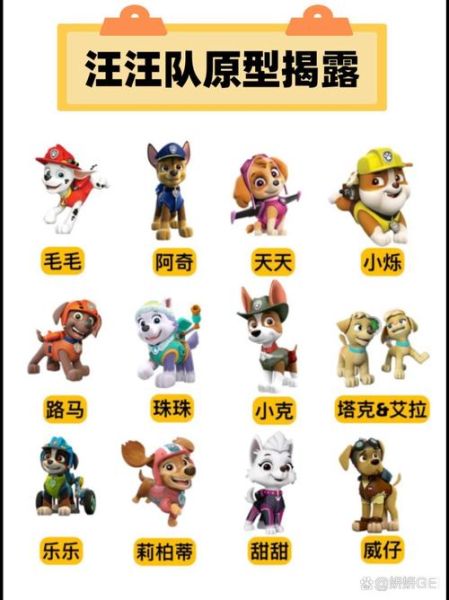 可卡吃什么狗粮好?选对狗粮可卡的毛发更好看!