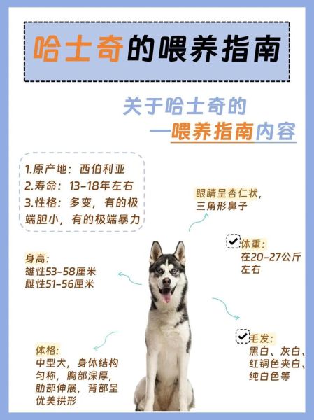 哈士奇吃什么狗粮好?选对狗粮很重要!