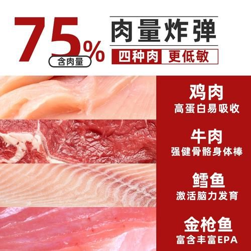 喜乐蒂吃什么狗粮好?挑这几种准没错!