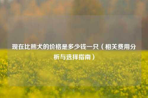 现在比熊犬的价格是多少钱一只（相关费用分析与选择指南）