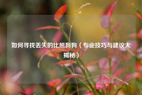 如何寻找丢失的比熊狗狗（专业技巧与建议大揭秘）
