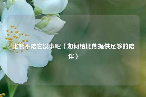 比熊不陪它没事吧（如何给比熊提供足够的陪伴）