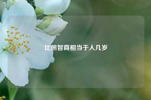 比熊智商相当于人几岁