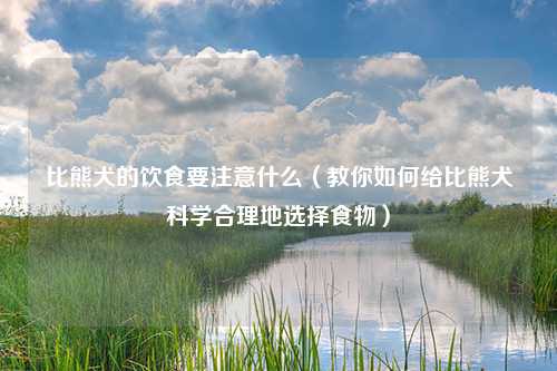比熊犬的饮食要注意什么（教你如何给比熊犬科学合理地选择食物）