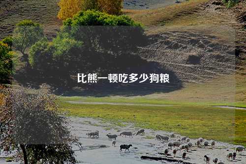 比熊一顿吃多少狗粮