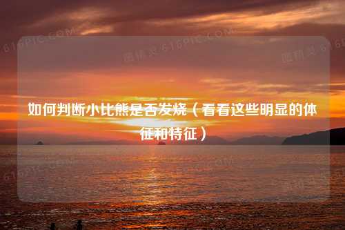 如何判断小比熊是否发烧（看看这些明显的体征和特征）