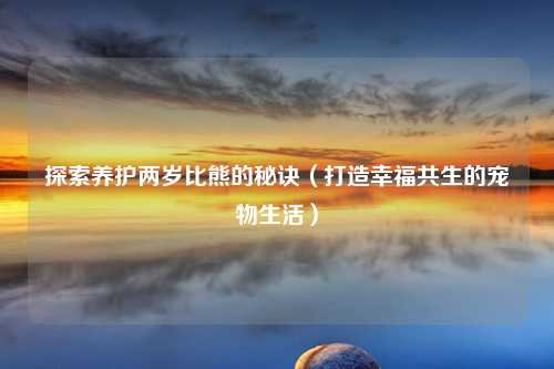 探索养护两岁比熊的秘诀（打造幸福共生的宠物生活）
