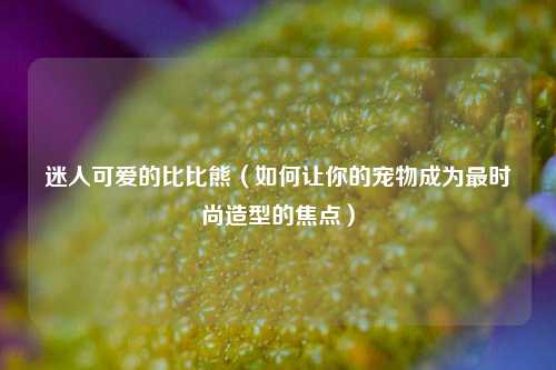 迷人可爱的比比熊（如何让你的宠物成为最时尚造型的焦点）