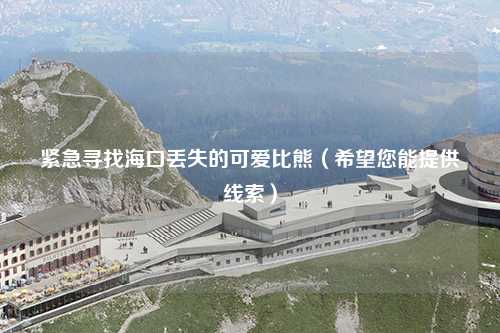 紧急寻找海口丢失的可爱比熊（希望您能提供线索）