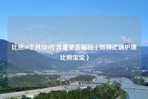 比熊10个月仅6斤体重是否偏轻（如何正确护理比熊宝宝）