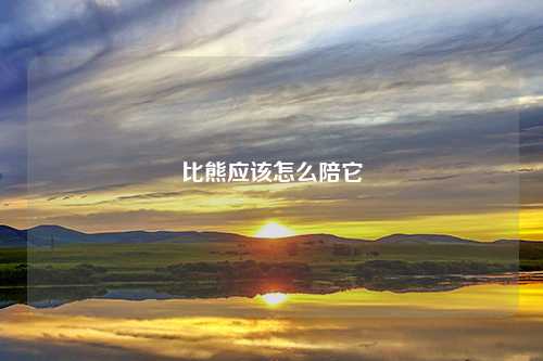 比熊应该怎么陪它