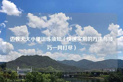 边牧犬大小便训练须知（快速实用的方法与技巧一网打尽）