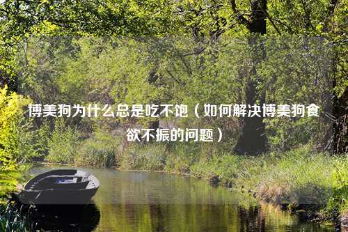 博美狗为什么总是吃不饱（如何解决博美狗食欲不振的问题）