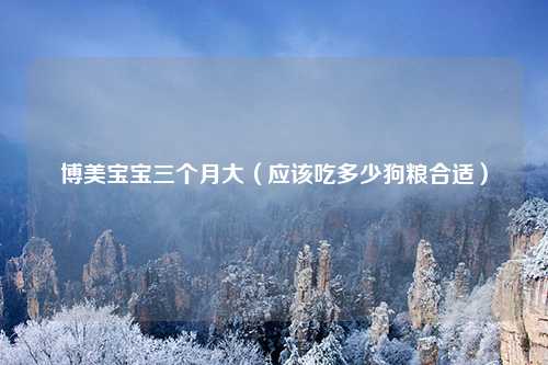 博美宝宝三个月大（应该吃多少狗粮合适）