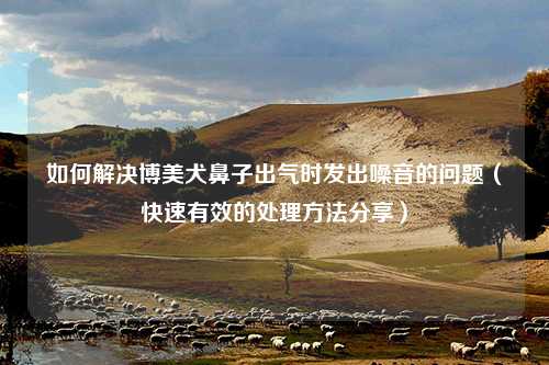 如何解决博美犬鼻子出气时发出噪音的问题（快速有效的处理方法分享）