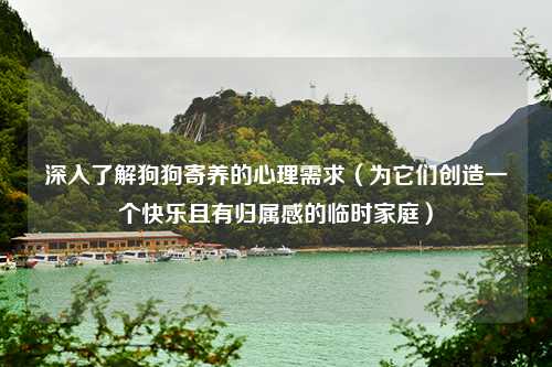 深入了解狗狗寄养的心理需求（为它们创造一个快乐且有归属感的临时家庭）