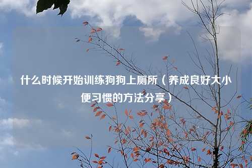 什么时候开始训练狗狗上厕所（养成良好大小便习惯的方法分享）