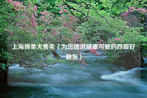 上海博美犬售卖（为您提供健康可爱的四脚好朋友）